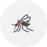 말라리라의 모기 아이콘