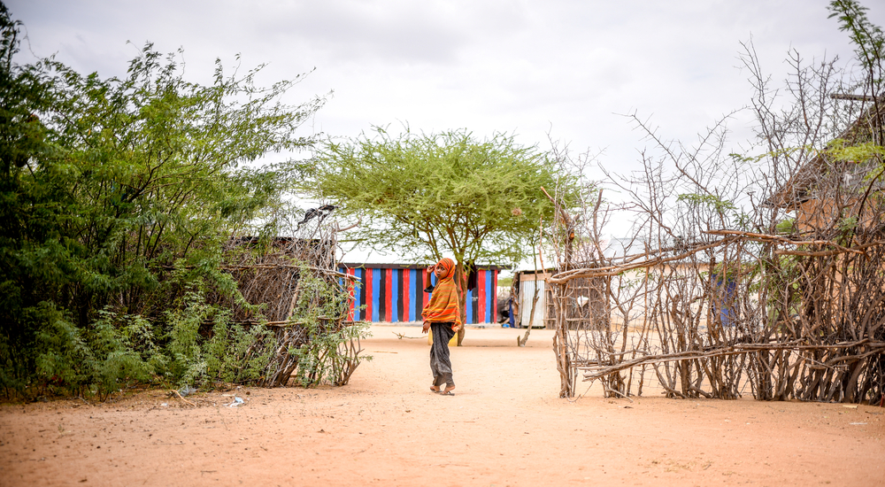 케냐 다다브 캠프에서 지내는 한 여자아이.©Paul Odongo/MSF
