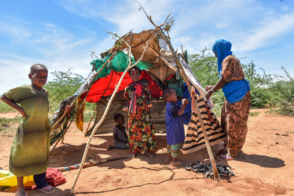 케냐 다가할리(Dagahaley)에 도착한 가족이 임시거처를 만들고 있다. ©Paul Odongo/MSF