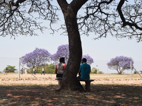 짐바브웨: 정신건강 프로젝트