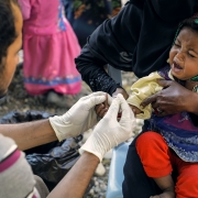 예멘: 말라리아 치료, 그리고 보건 체계 붕괴의 여파